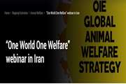 "One World One Welfare webinar in Iran"
